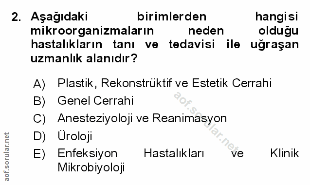 Soru 2