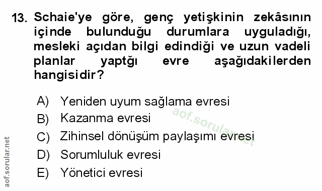 Soru 13