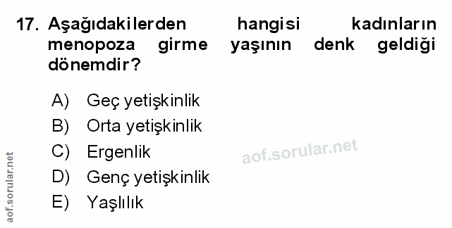 Soru 17