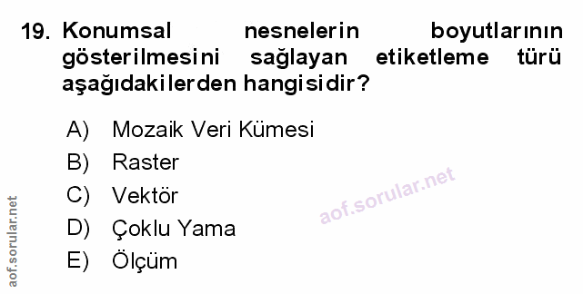 Soru 19