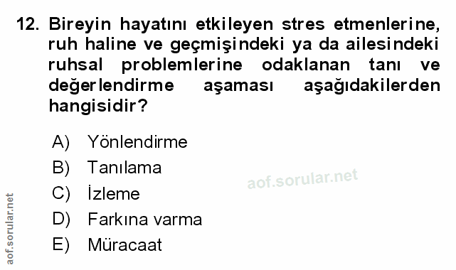 Soru 12