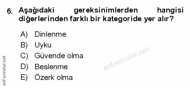 Soru 6