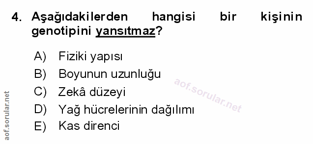 Soru 4