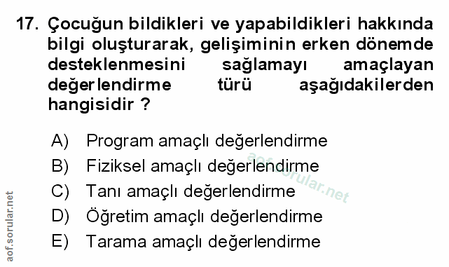 Soru 17