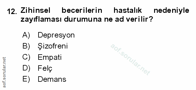 Soru 12