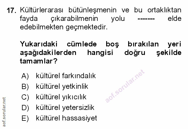 Soru 17