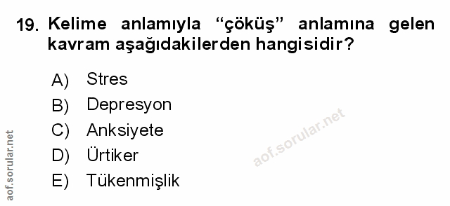 Soru 19