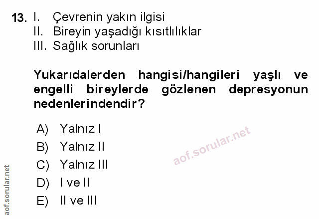 Soru 13