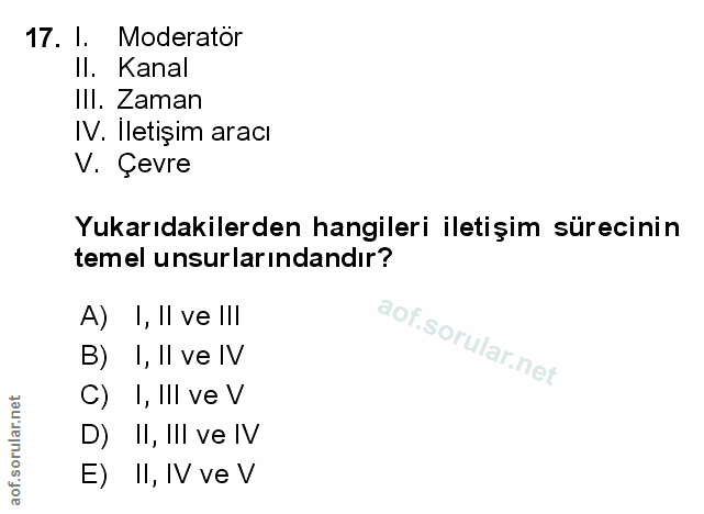 Soru 17