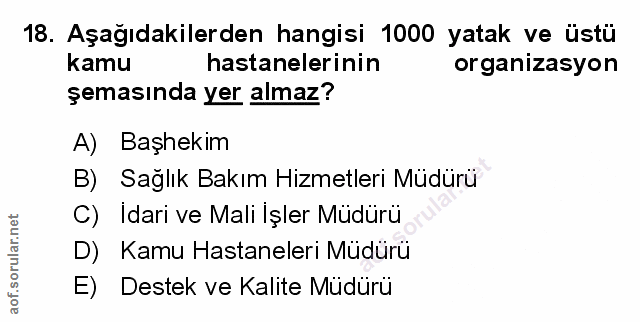 Soru 18