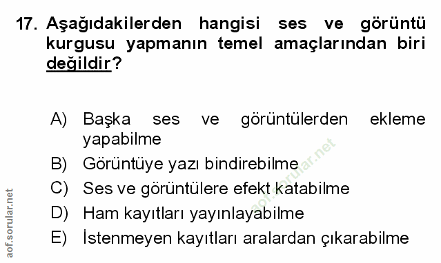Soru 17