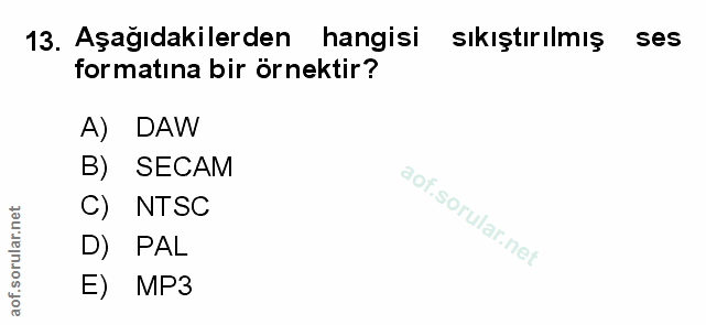Soru 13