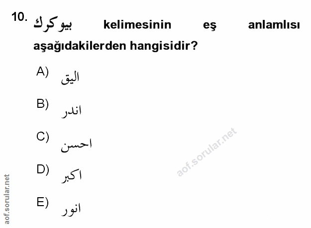 Soru 10