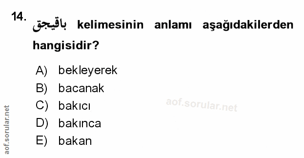 Soru 14