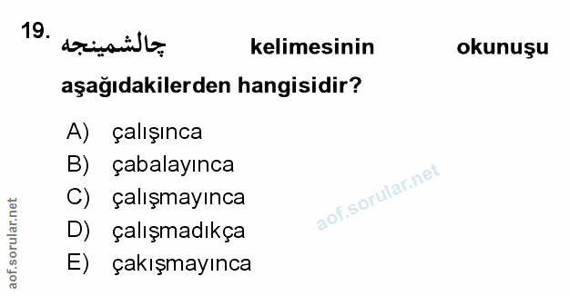 Soru 19