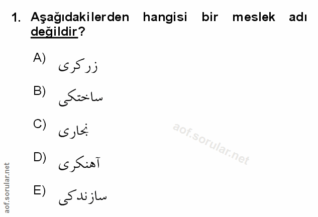 Soru 1