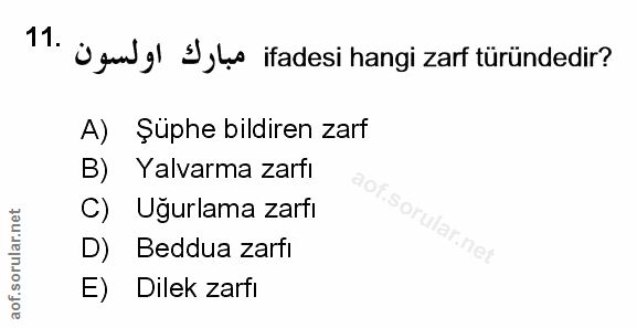 Soru 11