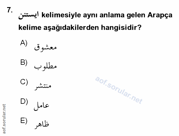 Soru 7