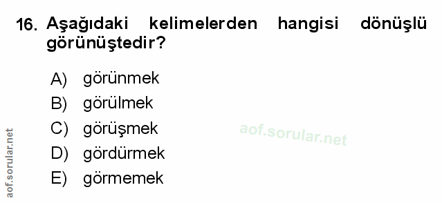 Soru 16