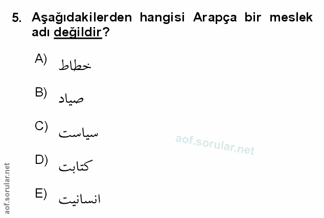 Soru 5