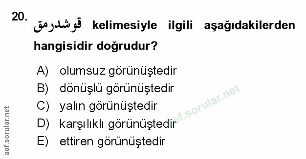 Soru 20