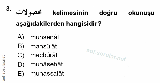 Soru 3