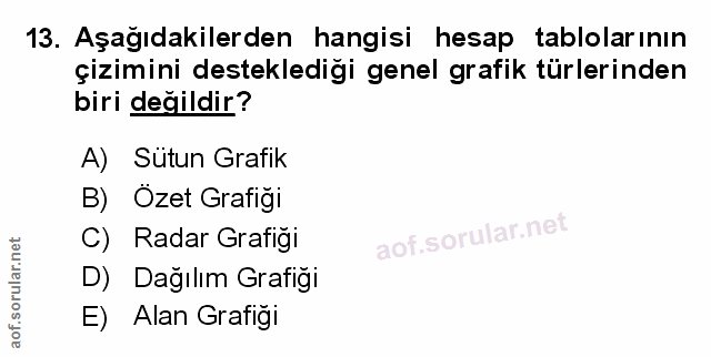 Soru 13