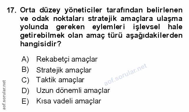 Soru 17