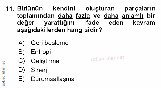 Soru 11