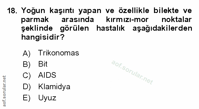 Soru 18