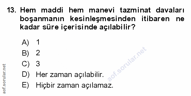Soru 13