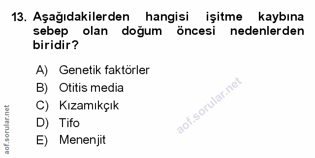 Soru 13
