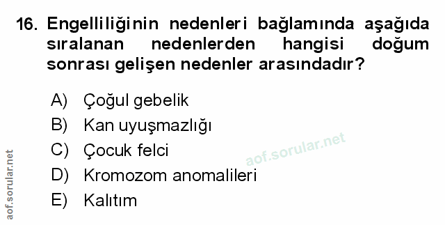 Soru 16