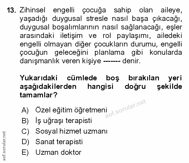 Soru 13