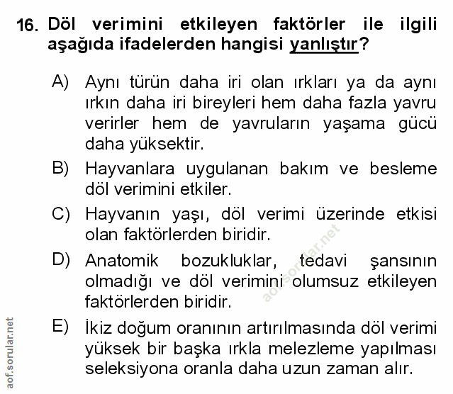 Soru 16