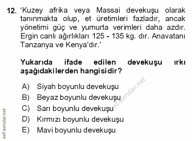 Soru 12