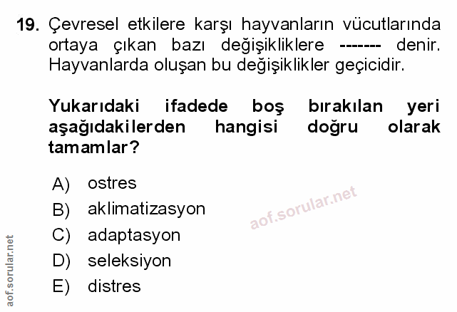 Soru 19