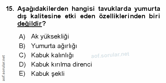 Soru 15