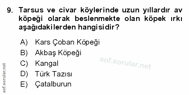 Soru 9