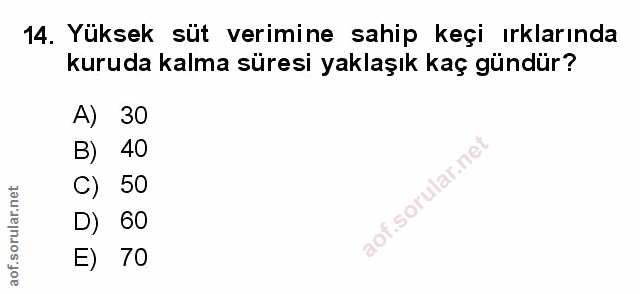 Soru 14