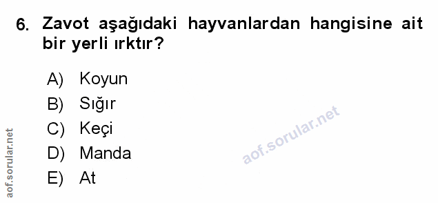 Soru 6