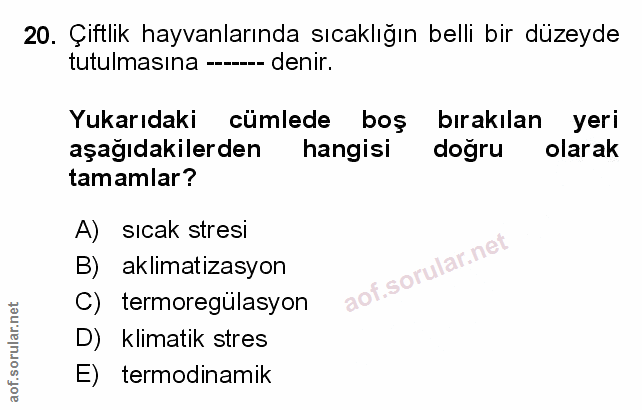 Soru 20