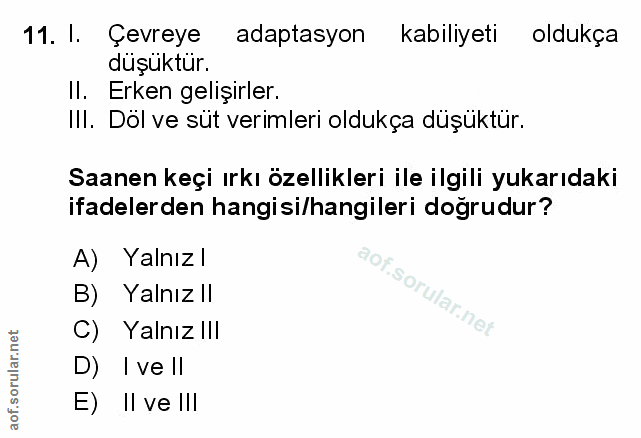 Soru 11