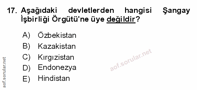 Soru 17