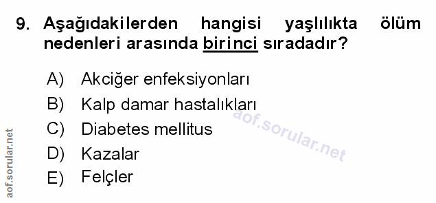 Soru 9