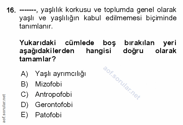 Soru 16