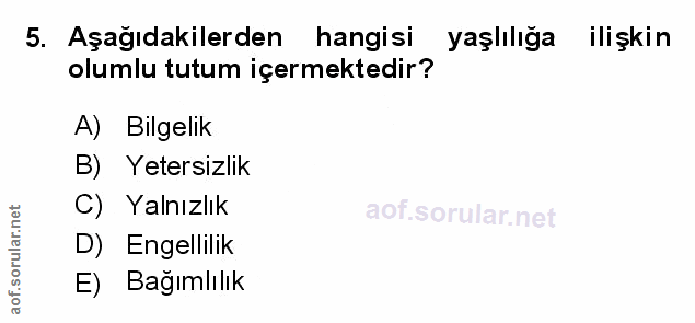 Soru 5