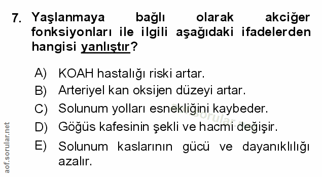 Soru 7