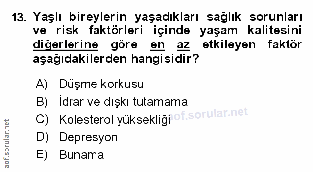Soru 13