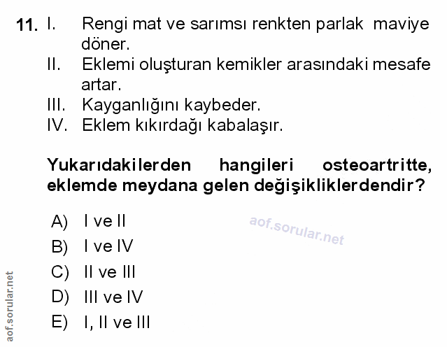 Soru 11